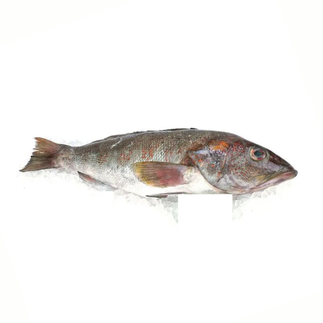 CABRILLA