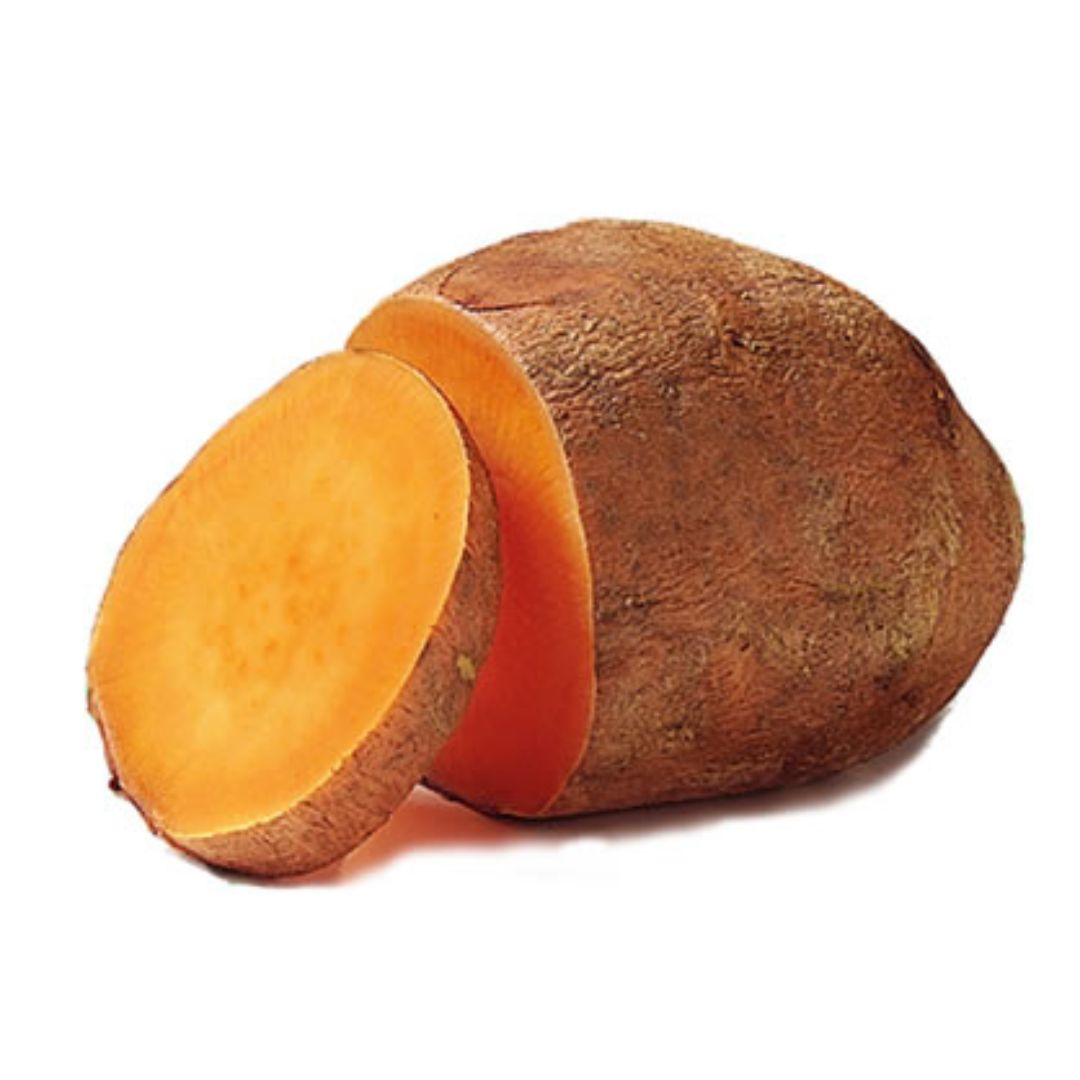 CAMOTE AMARILLO