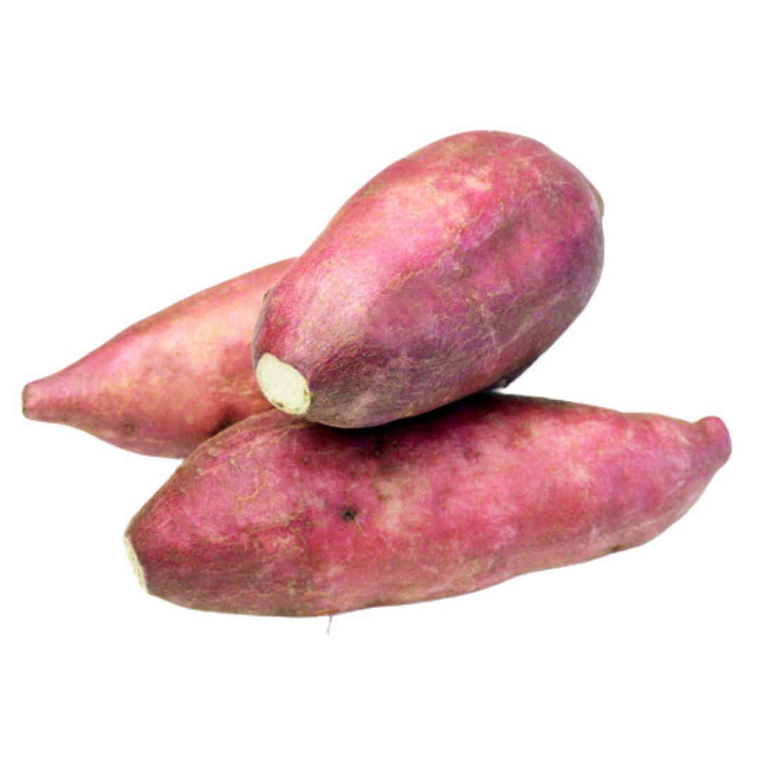 CAMOTE MORADO